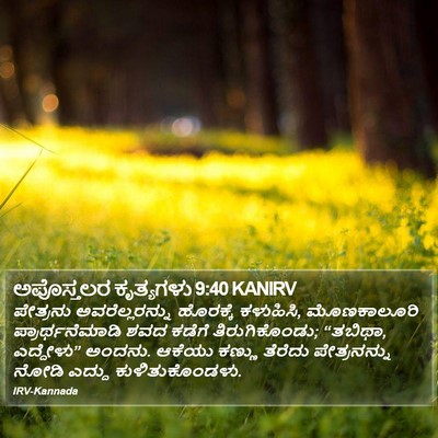 ಅಪೊಸ್ತಲರ ಕೃತ್ಯಗಳು 9:40 KANIRV Bible Verse Image