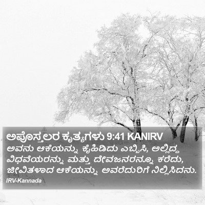 ಅಪೊಸ್ತಲರ ಕೃತ್ಯಗಳು 9:41 KANIRV Bible Verse Image