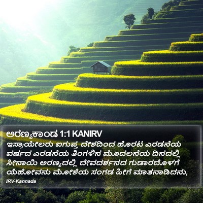 ಅರಣ್ಯಕಾಂಡ 1:1 KANIRV Bible Verse Image