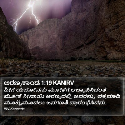 ಅರಣ್ಯಕಾಂಡ 1:19 KANIRV Bible Verse Image