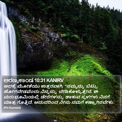 ಅರಣ್ಯಕಾಂಡ 10:31 KANIRV Bible Verse Image