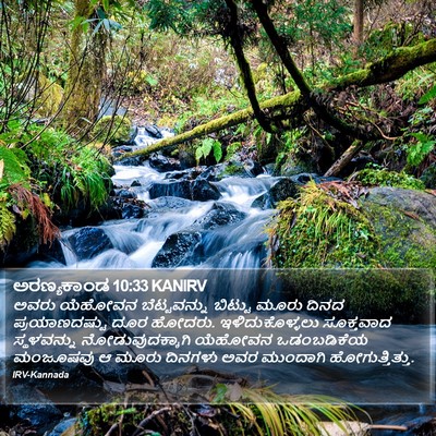 ಅರಣ್ಯಕಾಂಡ 10:33 KANIRV Bible Verse Image