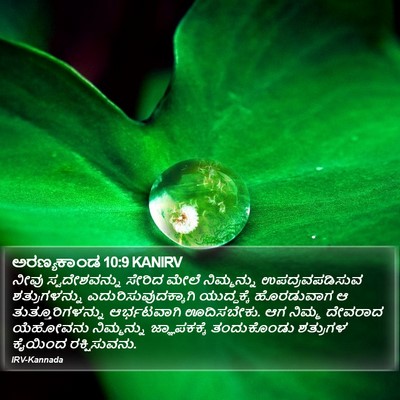 ಅರಣ್ಯಕಾಂಡ 10:9 KANIRV Bible Verse Image