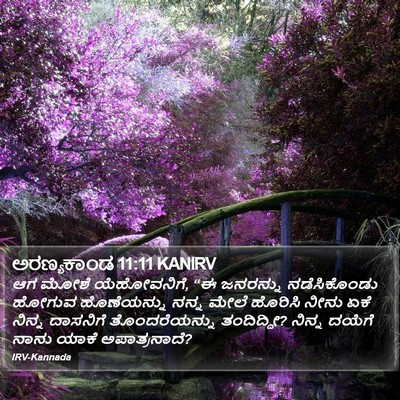 ಅರಣ್ಯಕಾಂಡ 11:11 KANIRV Bible Verse Image