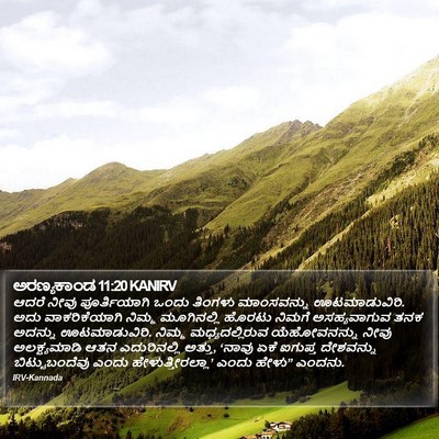 ಅರಣ್ಯಕಾಂಡ 11:20 KANIRV Bible Verse Image