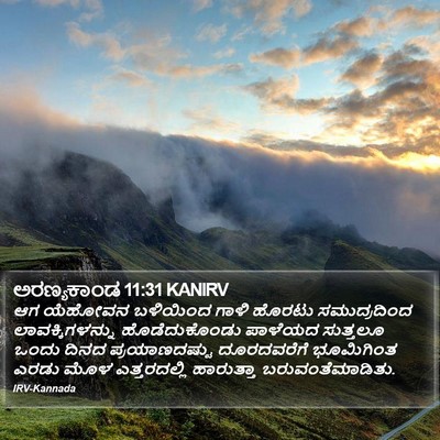 ಅರಣ್ಯಕಾಂಡ 11:31 KANIRV Bible Verse Image