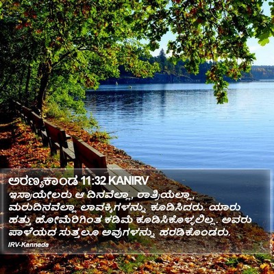 ಅರಣ್ಯಕಾಂಡ 11:32 KANIRV Bible Verse Image