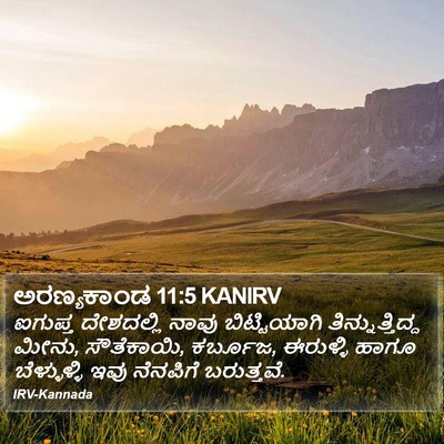 ಅರಣ್ಯಕಾಂಡ 11:5 KANIRV Bible Verse Image