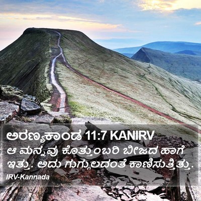 ಅರಣ್ಯಕಾಂಡ 11:7 KANIRV Bible Verse Image