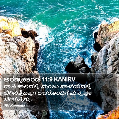 ಅರಣ್ಯಕಾಂಡ 11:9 KANIRV Bible Verse Image
