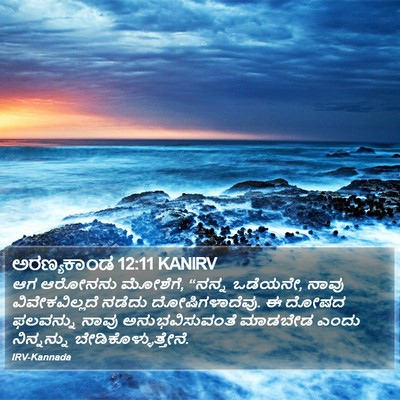 ಅರಣ್ಯಕಾಂಡ 12:11 KANIRV Bible Verse Image