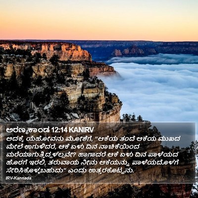 ಅರಣ್ಯಕಾಂಡ 12:14 KANIRV Bible Verse Image