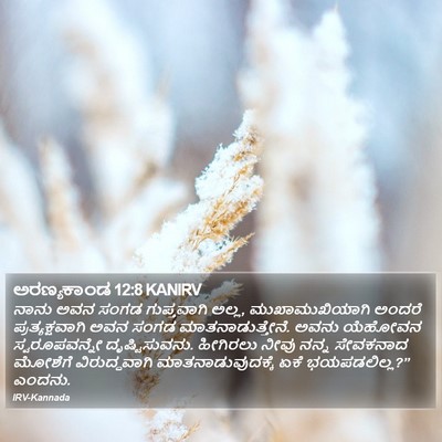 ಅರಣ್ಯಕಾಂಡ 12:8 KANIRV Bible Verse Image