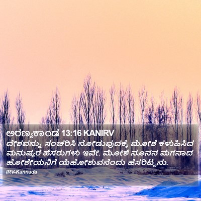 ಅರಣ್ಯಕಾಂಡ 13:16 KANIRV Bible Verse Image