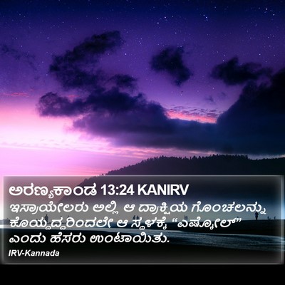 ಅರಣ್ಯಕಾಂಡ 13:24 KANIRV Bible Verse Image