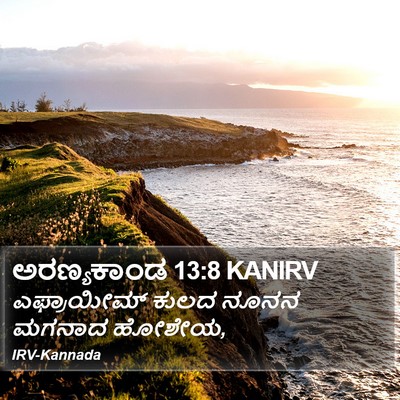 ಅರಣ್ಯಕಾಂಡ 13:8 KANIRV Bible Verse Image