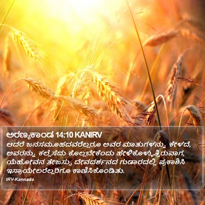 ಅರಣ್ಯಕಾಂಡ 14:10 KANIRV Bible Verse Image