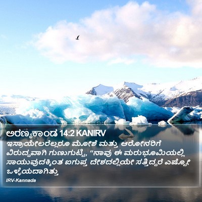 ಅರಣ್ಯಕಾಂಡ 14:2 KANIRV Bible Verse Image
