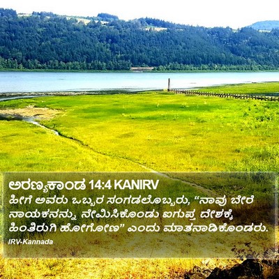 ಅರಣ್ಯಕಾಂಡ 14:4 KANIRV Bible Verse Image