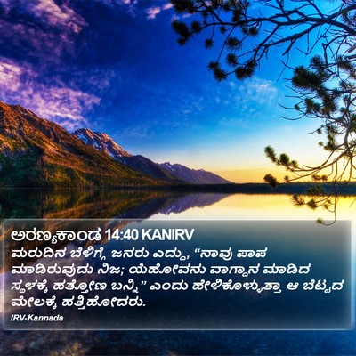 ಅರಣ್ಯಕಾಂಡ 14:40 KANIRV Bible Verse Image