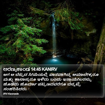 ಅರಣ್ಯಕಾಂಡ 14:45 KANIRV Bible Verse Image