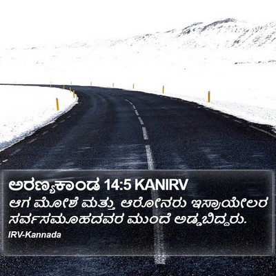ಅರಣ್ಯಕಾಂಡ 14:5 KANIRV Bible Verse Image