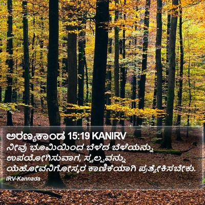 ಅರಣ್ಯಕಾಂಡ 15:19 KANIRV Bible Verse Image