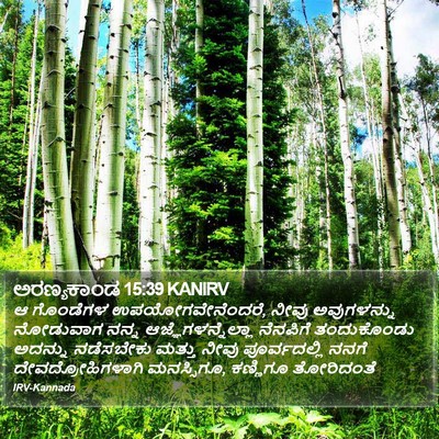 ಅರಣ್ಯಕಾಂಡ 15:39 KANIRV Bible Verse Image
