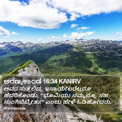 ಅರಣ್ಯಕಾಂಡ 16:34 KANIRV Bible Verse Image