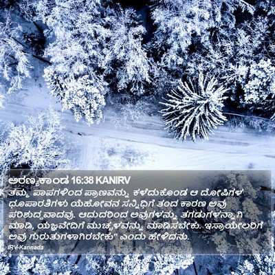 ಅರಣ್ಯಕಾಂಡ 16:38 KANIRV Bible Verse Image