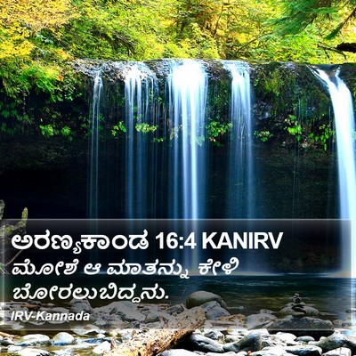 ಅರಣ್ಯಕಾಂಡ 16:4 KANIRV Bible Verse Image