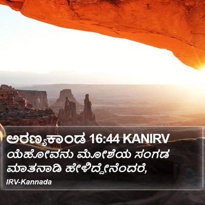 ಅರಣ್ಯಕಾಂಡ 16:44 KANIRV Bible Verse Image