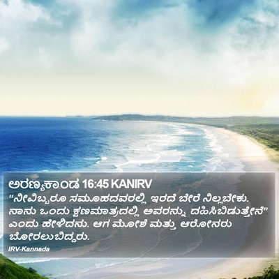 ಅರಣ್ಯಕಾಂಡ 16:45 KANIRV Bible Verse Image