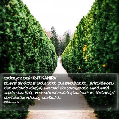 ಅರಣ್ಯಕಾಂಡ 16:47 KANIRV Bible Verse Image