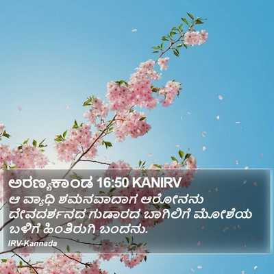 ಅರಣ್ಯಕಾಂಡ 16:50 KANIRV Bible Verse Image