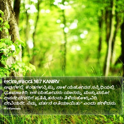 ಅರಣ್ಯಕಾಂಡ 16:7 KANIRV Bible Verse Image