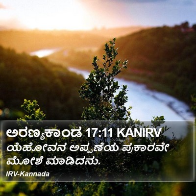 ಅರಣ್ಯಕಾಂಡ 17:11 KANIRV Bible Verse Image