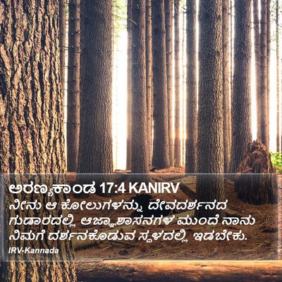 ಅರಣ್ಯಕಾಂಡ 17:4 KANIRV Bible Verse Image