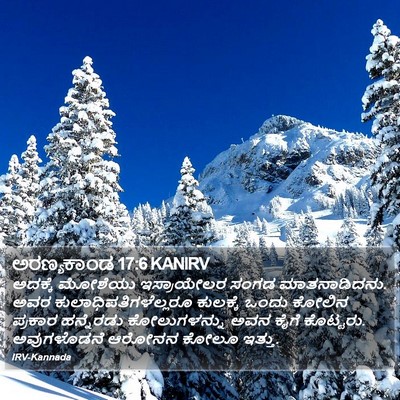 ಅರಣ್ಯಕಾಂಡ 17:6 KANIRV Bible Verse Image