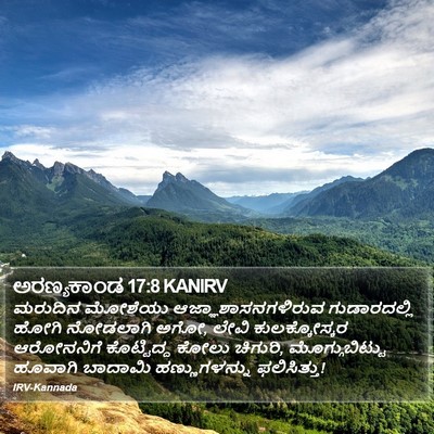 ಅರಣ್ಯಕಾಂಡ 17:8 KANIRV Bible Verse Image