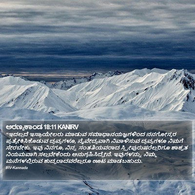 ಅರಣ್ಯಕಾಂಡ 18:11 KANIRV Bible Verse Image