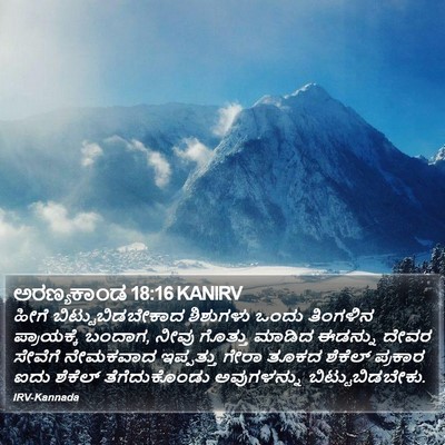 ಅರಣ್ಯಕಾಂಡ 18:16 KANIRV Bible Verse Image