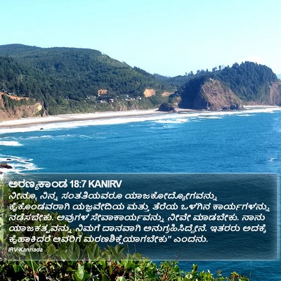 ಅರಣ್ಯಕಾಂಡ 18:7 KANIRV Bible Verse Image