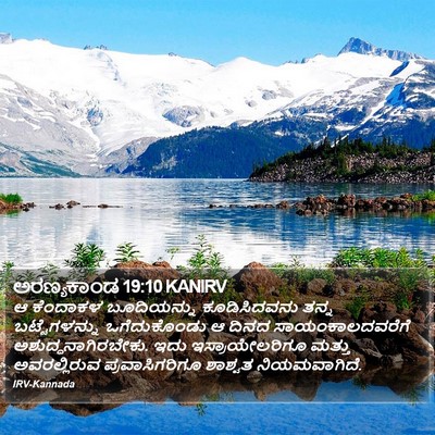 ಅರಣ್ಯಕಾಂಡ 19:10 KANIRV Bible Verse Image