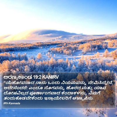 ಅರಣ್ಯಕಾಂಡ 19:2 KANIRV Bible Verse Image