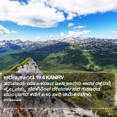 ಅರಣ್ಯಕಾಂಡ 19:4 KANIRV Bible Verse Image