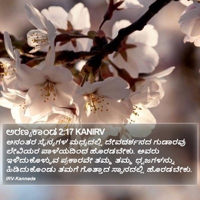 ಅರಣ್ಯಕಾಂಡ 2:17 KANIRV Bible Verse Image