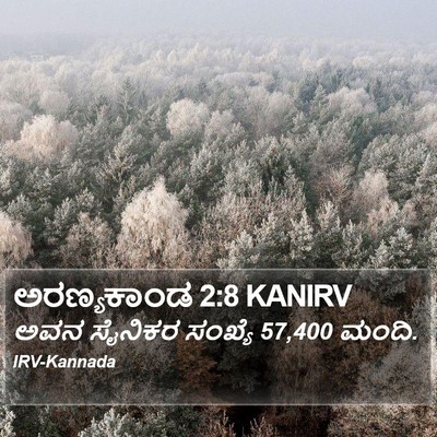 ಅರಣ್ಯಕಾಂಡ 2:8 KANIRV Bible Verse Image
