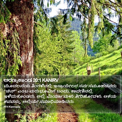 ಅರಣ್ಯಕಾಂಡ 20:1 KANIRV Bible Verse Image