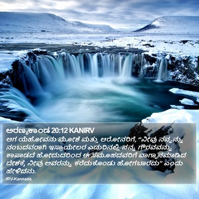 ಅರಣ್ಯಕಾಂಡ 20:12 KANIRV Bible Verse Image